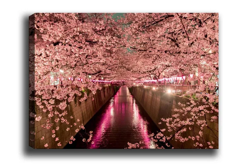 Lerretsbilde - Kirsebærblomster ved en kanal, Rosa / Grønn / Lilla
