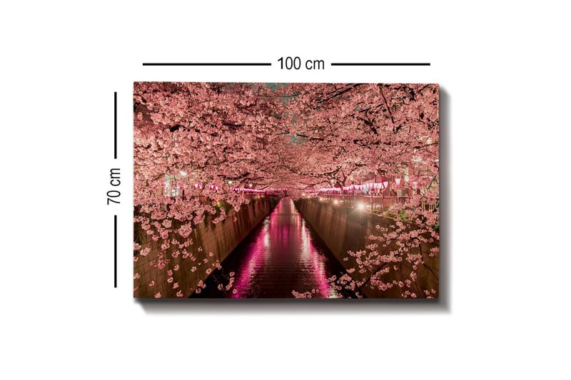 Lerretsbilde - Kirsebærblomster ved en kanal - Rosa / Grønn / Lilla - Innredning - Bilder & kunst - Lerretsbilder