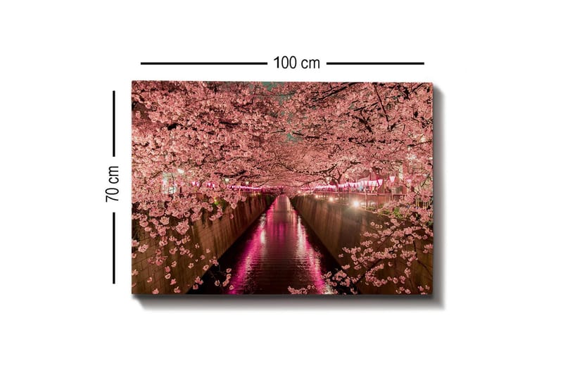 Lerretsbilde - Kirsebærblomster ved en kanal - Rosa / Grønn / Lilla - Innredning - Bilder & kunst - Lerretsbilder