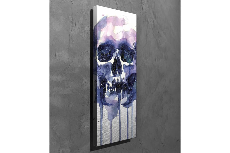 Lerretsbilde - Mørk og mystisk hodeskalle med stjernelignende detaljer - Lilla / Mørk blå / Hvit - Innredning - Bilder & kunst - Lerretsbilder