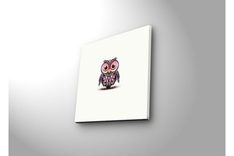 Lerretsbilde med LED-belysning 28x28 cm - Fargerik ugle med store øyne - Lilla / Grønn / Rosa - Innredning - Bilder & kunst - Lerretsbilder