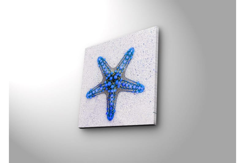 Lerretsbilde med LED-belysning 28x28 cm - Havstjerne i blå nyanser - Blå / Lys blå / Beige - Innredning - Bilder & kunst - Lerretsbilder