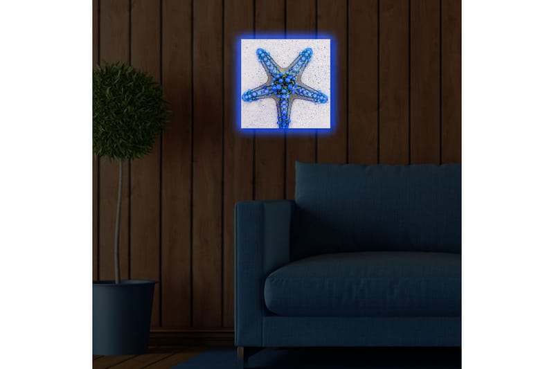 Lerretsbilde med LED-belysning 28x28 cm - Havstjerne i blå nyanser - Blå / Lys blå / Beige - Innredning - Bilder & kunst - Lerretsbilder