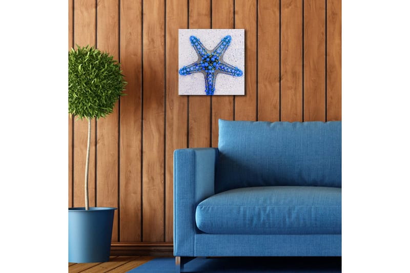 Lerretsbilde med LED-belysning 28x28 cm - Havstjerne i blå nyanser - Blå / Lys blå / Beige - Innredning - Bilder & kunst - Lerretsbilder