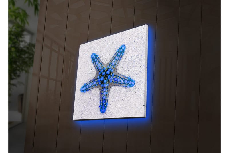 Lerretsbilde med LED-belysning 28x28 cm - Havstjerne i blå nyanser - Blå / Lys blå / Beige - Innredning - Bilder & kunst - Lerretsbilder