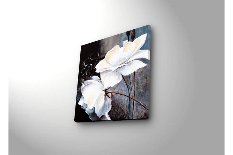 Lerretsbilde med LED-belysning 28x28 cm - Hvite blomster med elegante detaljer - Hvit / Grå / Brun - Innredning - Bilder & kunst - Lerretsbilder