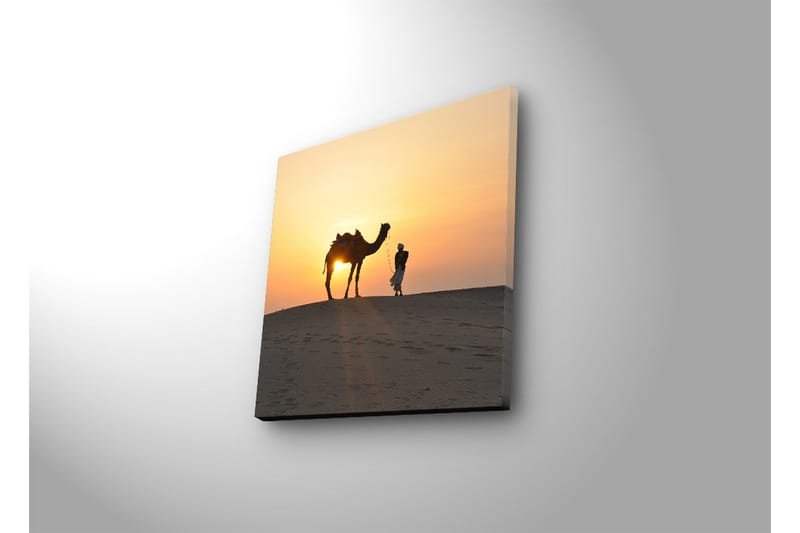 Lerretsbilde med LED-belysning 28x28 cm - Kamel og mann ved solnedgang på sanddyner - Oransje / Gul / Svart - Innredning - Bilder & kunst - Lerretsbilder