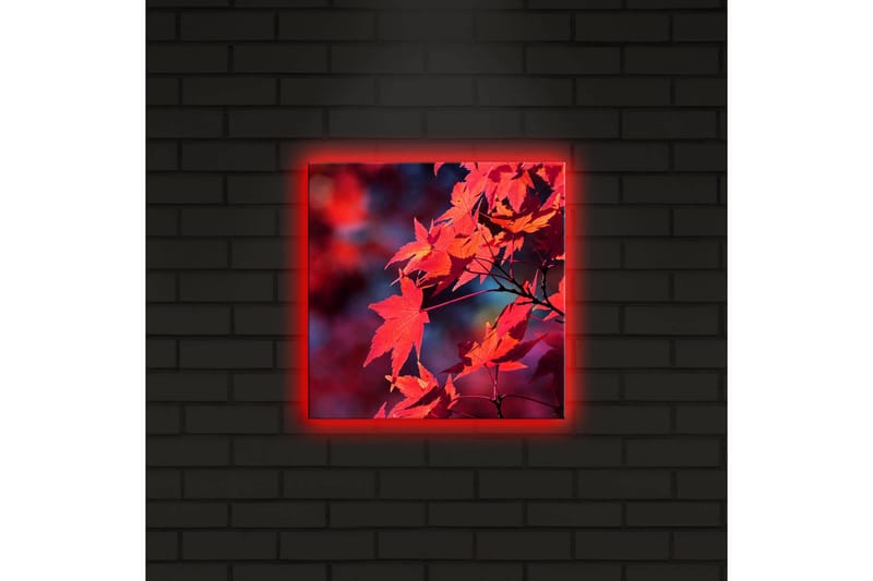Lerretsbilde med LED-belysning 28x28 cm - Klart rødt lønneblad i høstfarger - Rød / Oransje / Mørk blå - Innredning - Bilder & kunst - Lerretsbilder