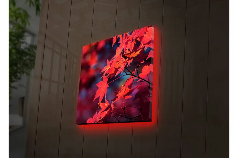 Lerretsbilde med LED-belysning 28x28 cm - Klart rødt lønneblad i høstfarger, Rød / Oransje / Mørk blå