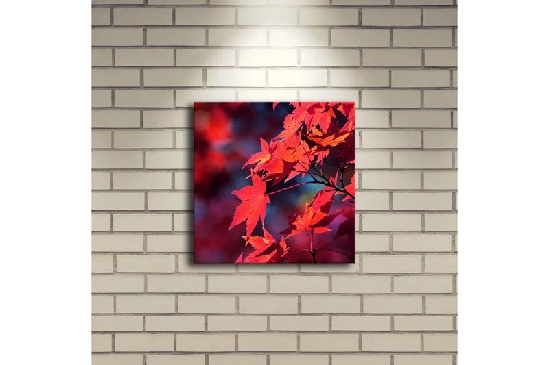 Lerretsbilde med LED-belysning 28x28 cm - Klart rødt lønneblad i høstfarger - Rød / Oransje / Mørk blå - Innredning - Bilder & kunst - Lerretsbilder