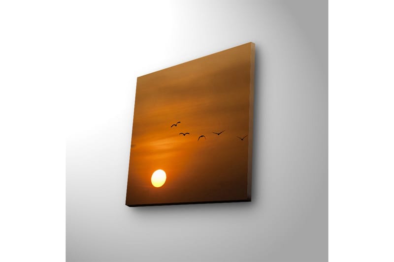 Lerretsbilde med LED-belysning 28x28 cm - Solnedgang med flygende fugler - Oransje / Gul / Svart - Innredning - Bilder & kunst - Lerretsbilder