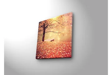 Lerretsbilde med LED-belysning 28x28 cm - Vakker høstscene med et tre og en båt ved en speilblank innsjø - Oransje / Gull / Brun - Innredning - Bilder & kunst - Lerretsbilder