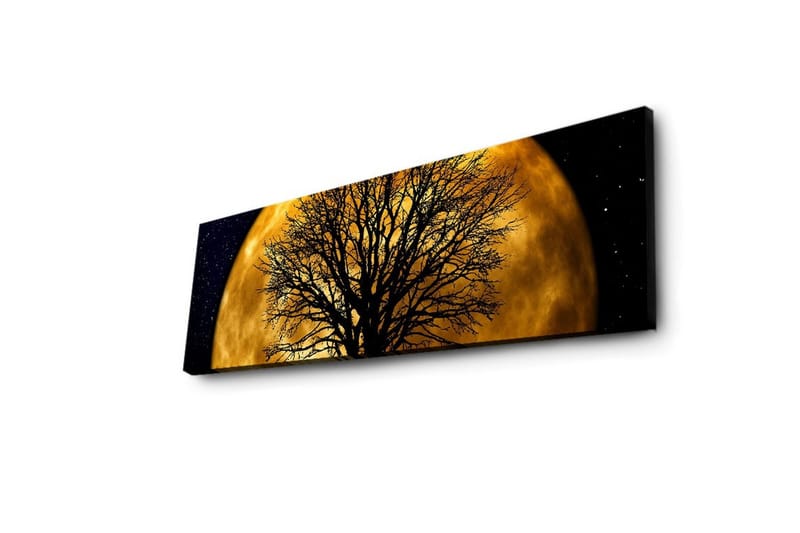 Lerretsbilde med LED-belysning 30x90 cm - Atmosfærisk motiv av en måne bak en silhuett av et tre - Gull / Svart - Innredning - Bilder & kunst - Lerretsbilder