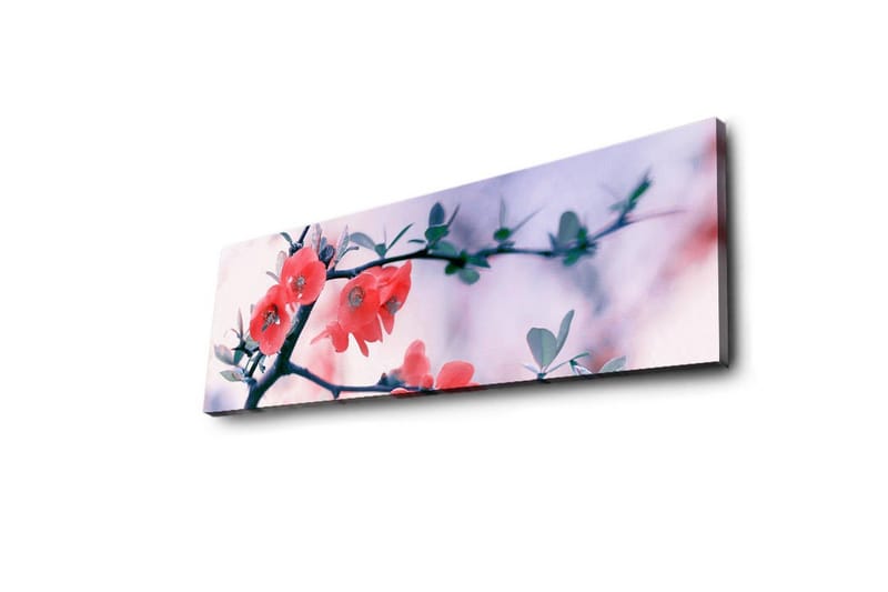 Lerretsbilde med LED-belysning 30x90 cm - Blomstrende kvist med rosa blomster - Rosa / Grønn / Hvit - Innredning - Bilder & kunst - Lerretsbilder