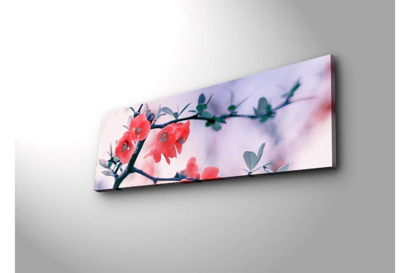 Lerretsbilde med LED-belysning 30x90 cm - Blomstrende kvist med rosa blomster - Rosa / Grønn / Hvit - Innredning - Bilder & kunst - Lerretsbilder