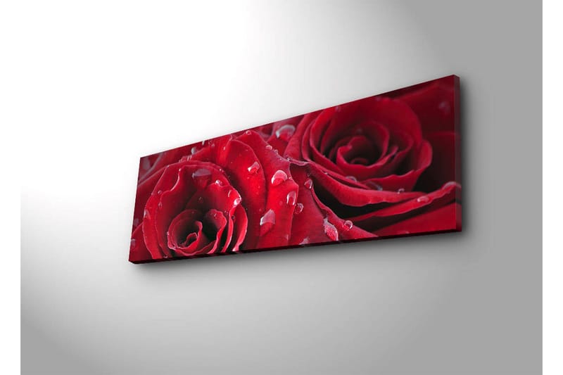 Lerretsbilde med LED-belysning 30x90 cm - Dyprøde roser med vanndråper - Rød / Grønn - Innredning - Bilder & kunst - Lerretsbilder