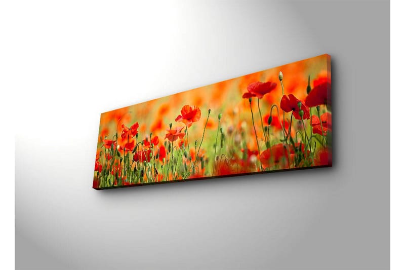 Lerretsbilde med LED-belysning 30x90 cm - Eng med røde valmueblomster i et frodig grønt miljø - Rød / Grønn / Oransje - Innredning - Bilder & kunst - Lerretsbilder