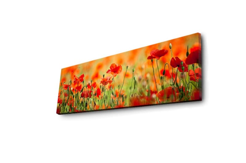 Lerretsbilde med LED-belysning 30x90 cm - Eng med røde valmueblomster i et frodig grønt miljø - Rød / Grønn / Oransje - Innredning - Bilder & kunst - Lerretsbilder