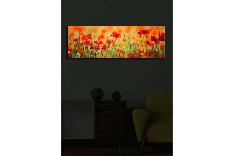 Lerretsbilde med LED-belysning 30x90 cm - Eng med røde valmueblomster i et frodig grønt miljø - Rød / Grønn / Oransje - Innredning - Bilder & kunst - Lerretsbilder
