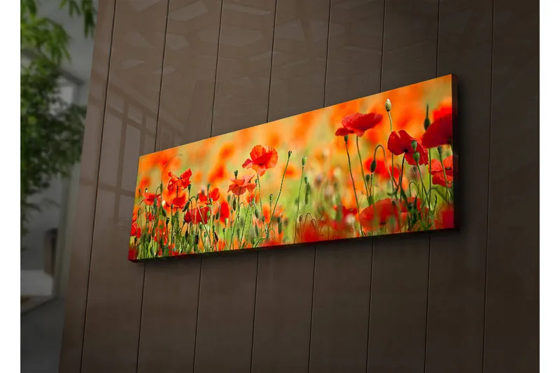 Lerretsbilde med LED-belysning 30x90 cm - Eng med røde valmueblomster i et frodig grønt miljø - Rød / Grønn / Oransje - Innredning - Bilder & kunst - Lerretsbilder