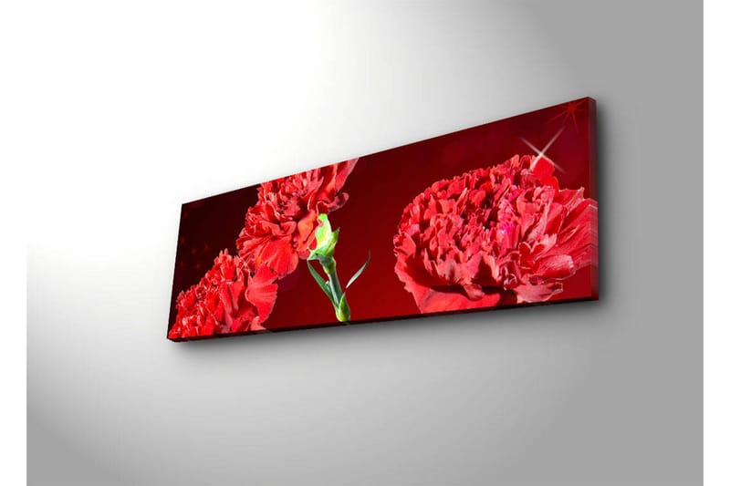 Lerretsbilde med LED-belysning 30x90 cm - Fargerik bukett med nelliker - Rød / Grønn - Innredning - Bilder & kunst - Lerretsbilder