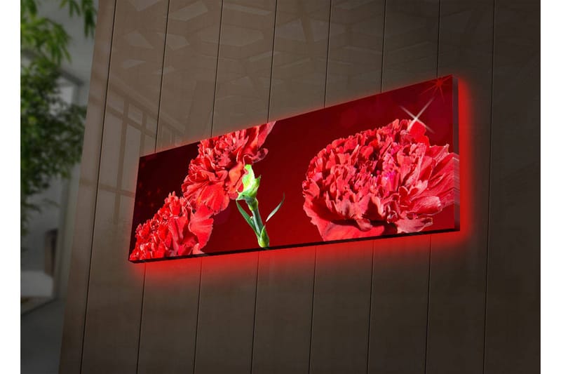 Lerretsbilde med LED-belysning 30x90 cm - Fargerik bukett med nelliker - Rød / Grønn - Innredning - Bilder & kunst - Lerretsbilder