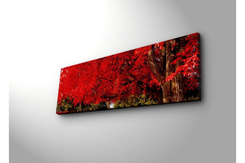 Lerretsbilde med LED-belysning 30x90 cm - Frodig rød løvskog med en stor trestamme - Rød / Grønn / Brun - Innredning - Bilder & kunst - Lerretsbilder