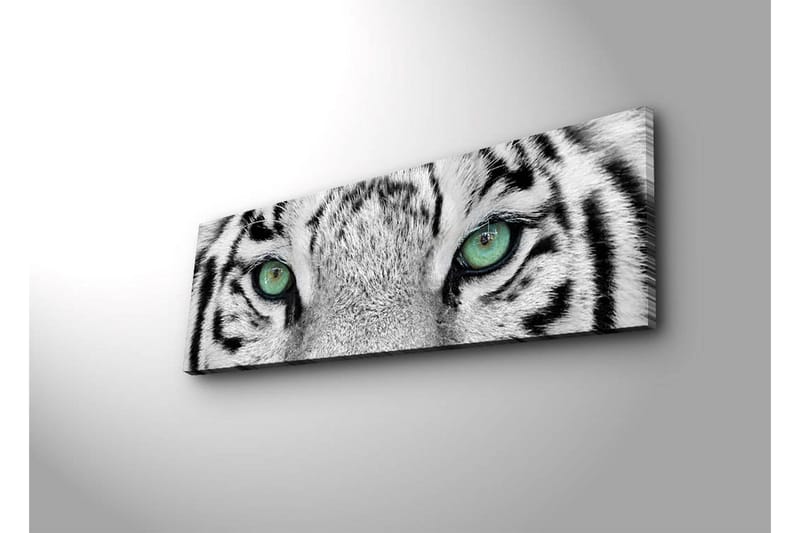Lerretsbilde med LED-belysning 30x90 cm - Nærbilde av en hvit tigers øyne med intense detaljer - Hvit / Svart / Grønn - Innredning - Bilder & kunst - Lerretsbilder