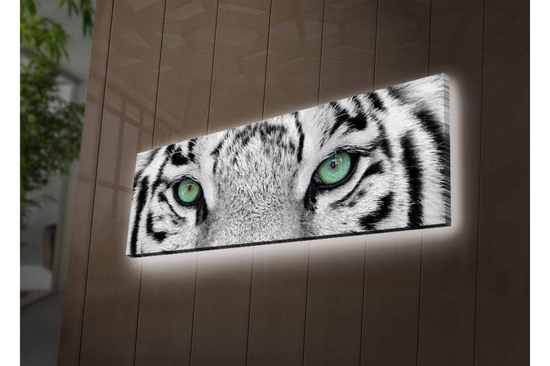Lerretsbilde med LED-belysning 30x90 cm - Nærbilde av en hvit tigers øyne med intense detaljer - Hvit / Svart / Grønn - Innredning - Bilder & kunst - Lerretsbilder