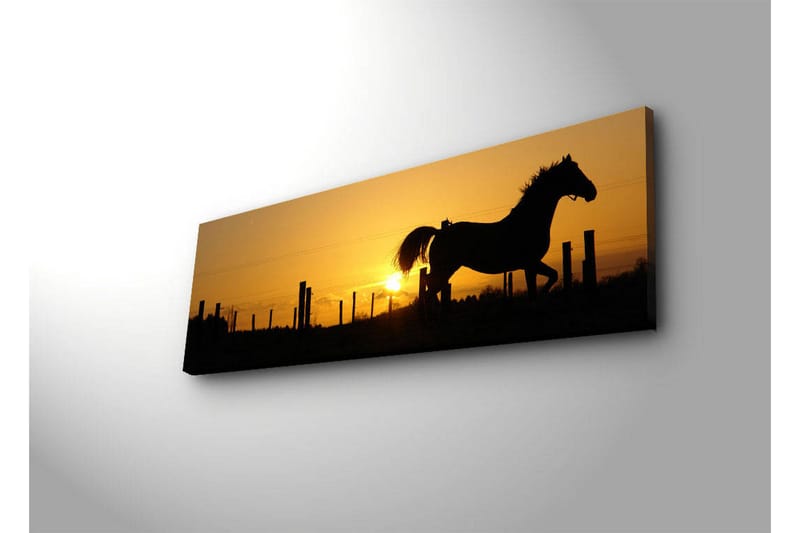 Lerretsbilde med LED-belysning 30x90 cm - Silhuett av en hest som galopperer ved solnedgang - Mørk brun / Oransje / Gul - Innredning - Bilder & kunst - Lerretsbilder