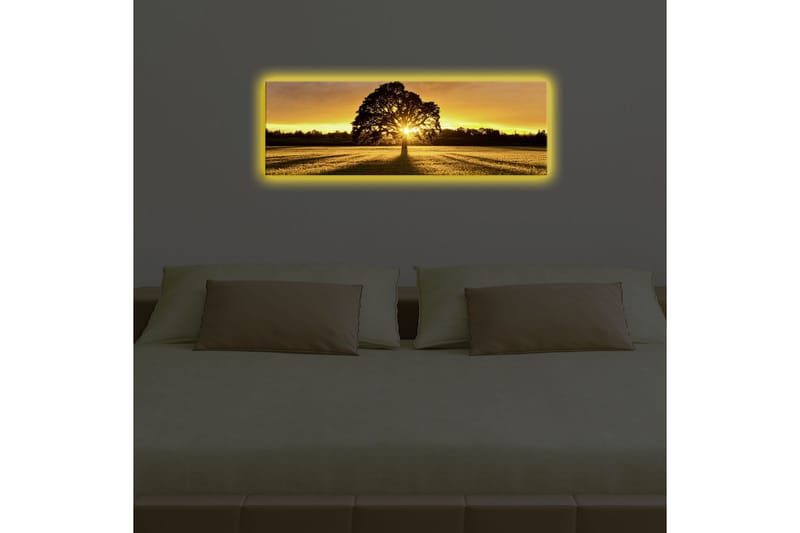 Lerretsbilde med LED-belysning 30x90 cm - Silhuett av et tre mot en gyllen solnedgang - Gull / Svart / Grønn - Innredning - Bilder & kunst - Lerretsbilder