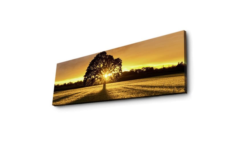 Lerretsbilde med LED-belysning 30x90 cm - Silhuett av et tre mot en gyllen solnedgang - Gull / Svart / Grønn - Innredning - Bilder & kunst - Lerretsbilder