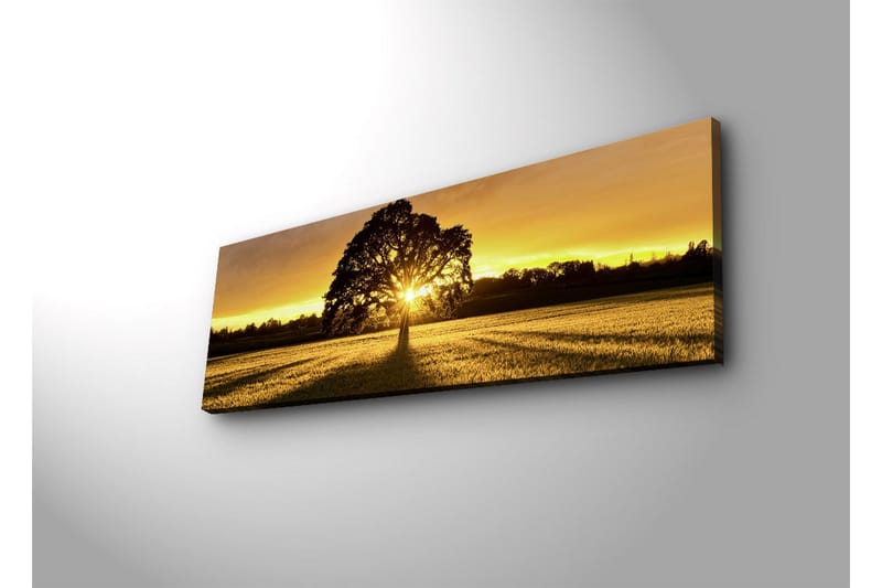 Lerretsbilde med LED-belysning 30x90 cm - Silhuett av et tre mot en gyllen solnedgang - Gull / Svart / Grønn - Innredning - Bilder & kunst - Lerretsbilder
