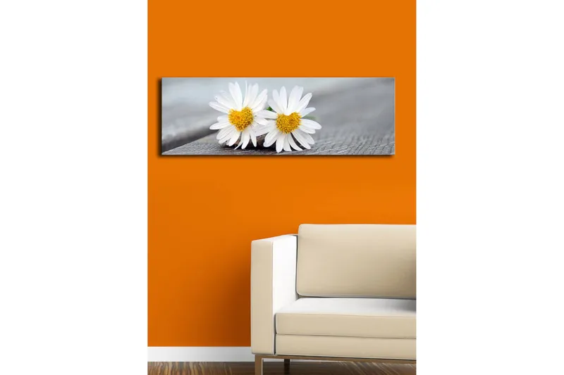 Lerretsbilde med LED-belysning 30x90 cm - To hvite tusenfryd med gult senter - Hvit / Gul - Innredning - Bilder & kunst - Lerretsbilder