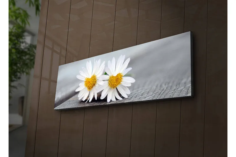 Lerretsbilde med LED-belysning 30x90 cm - To hvite tusenfryd med gult senter - Hvit / Gul - Innredning - Bilder & kunst - Lerretsbilder