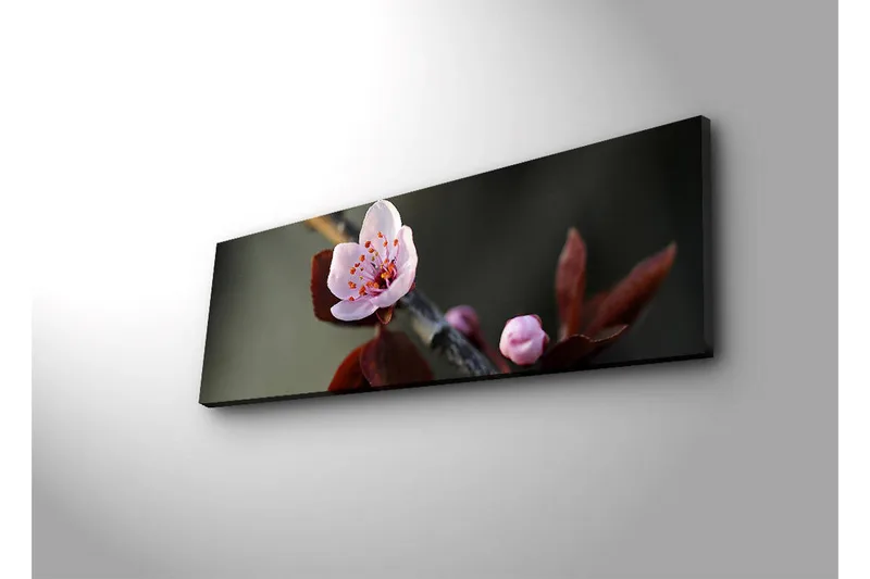 Lerretsbilde med LED-belysning 30x90 cm - Vakker blomst med rosa kronblader og mørkegrønne blader - Rosa / Mørkegrønn - Innredning - Bilder & kunst - Lerretsbilder