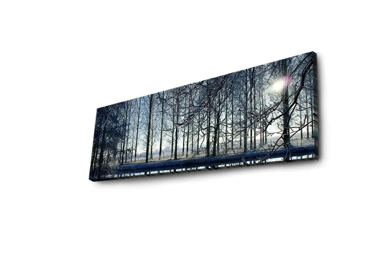 Lerretsbilde med LED-belysning 30x90 cm - Vinterlandskap med snødekte trær og en svak solstråle - Blå / Hvit / Grå - Innredning - Bilder & kunst - Lerretsbilder
