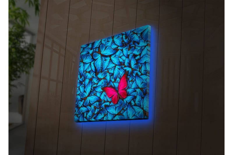 Lerretsbilde med LED-belysning 40x40 cm - Blå opplyste sommerfugler i bakgrunnen med en rosa sommerfugl - Blå / Rosa / Svart - Innredning - Bilder & kunst - Lerretsbilder