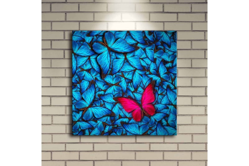 Lerretsbilde med LED-belysning 40x40 cm - Blå opplyste sommerfugler i bakgrunnen med en rosa sommerfugl - Blå / Rosa / Svart - Innredning - Bilder & kunst - Lerretsbilder