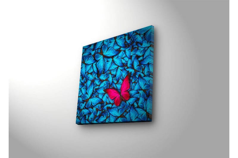 Lerretsbilde med LED-belysning 40x40 cm - Blå opplyste sommerfugler i bakgrunnen med en rosa sommerfugl - Blå / Rosa / Svart - Innredning - Bilder & kunst - Lerretsbilder