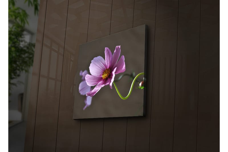 Lerretsbilde med LED-belysning 40x40 cm - Rosa blomster med grønn stilk - Rosa / Grønn - Innredning - Bilder & kunst - Lerretsbilder