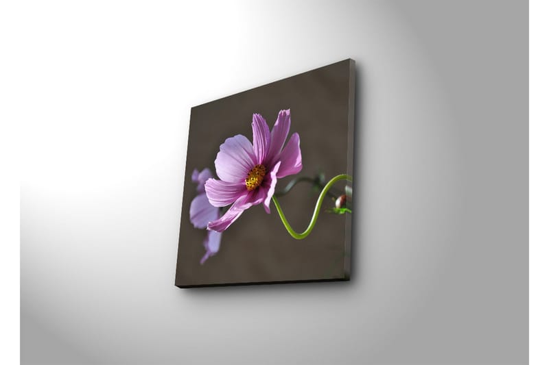 Lerretsbilde med LED-belysning 40x40 cm - Rosa blomster med grønn stilk - Rosa / Grønn - Innredning - Bilder & kunst - Lerretsbilder