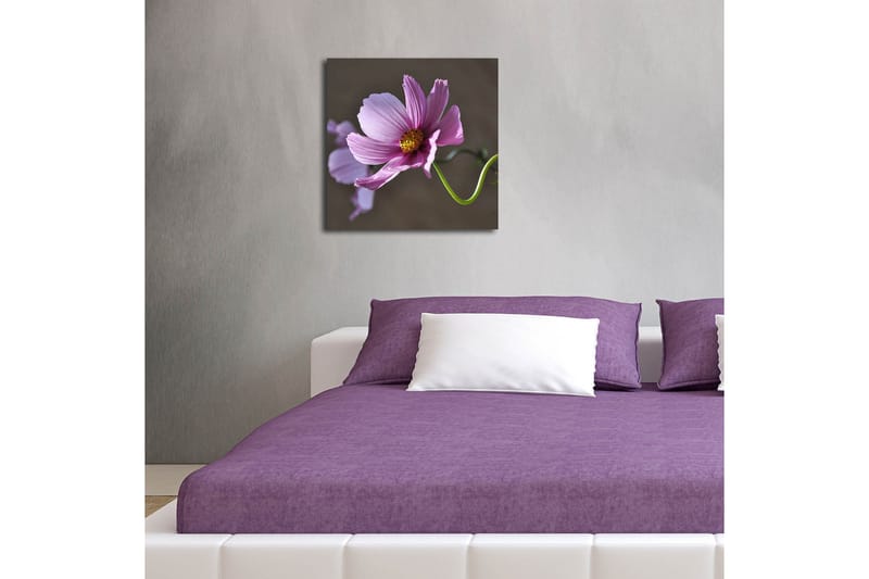 Lerretsbilde med LED-belysning 40x40 cm - Rosa blomster med grønn stilk - Rosa / Grønn - Innredning - Bilder & kunst - Lerretsbilder