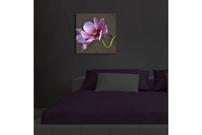 Lerretsbilde med LED-belysning 40x40 cm - Rosa blomster med grønn stilk - Rosa / Grønn - Innredning - Bilder & kunst - Lerretsbilder