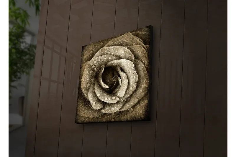 Lerretsbilde med LED-belysning 40x40 cm - Vakker rose med vanndråper, Beige / Brun / Grå