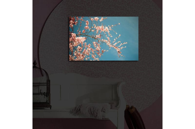 Lerretsbilde med LED-belysning 45x70 cm - Blomstrende kirsebærgrener mot en klar blå himmel - Rosa / Blå - Innredning - Bilder & kunst - Lerretsbilder
