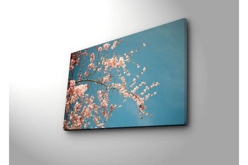 Lerretsbilde med LED-belysning 45x70 cm - Blomstrende kirsebærgrener mot en klar blå himmel - Rosa / Blå - Innredning - Bilder & kunst - Lerretsbilder