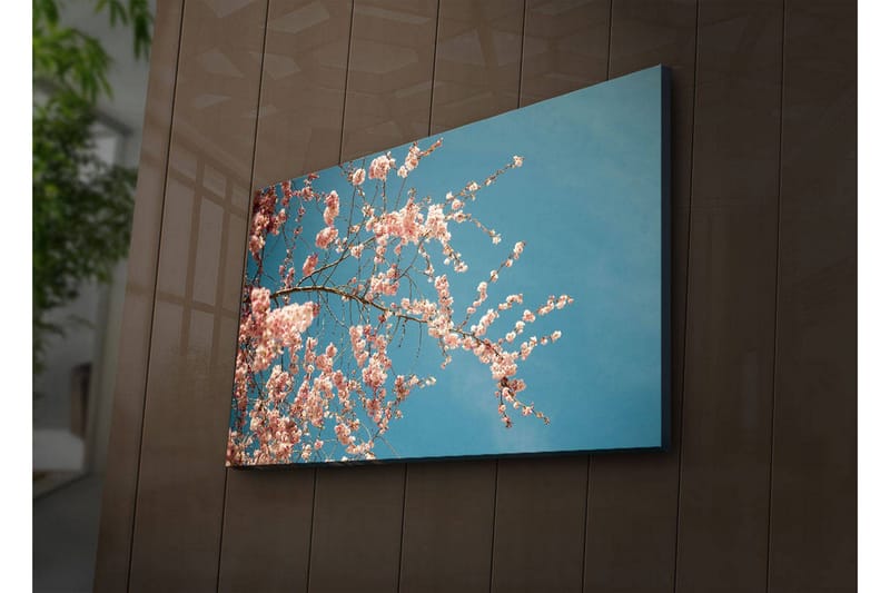 Lerretsbilde med LED-belysning 45x70 cm - Blomstrende kirsebærgrener mot en klar blå himmel - Rosa / Blå - Innredning - Bilder & kunst - Lerretsbilder