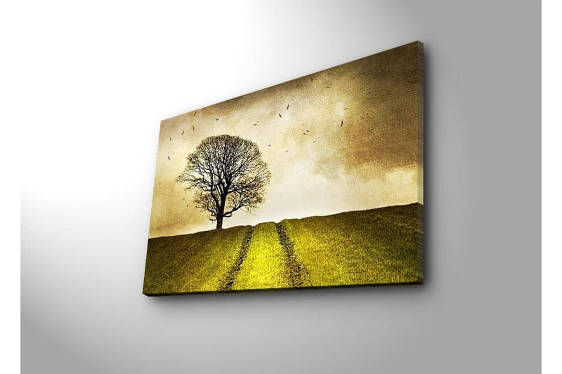Lerretsbilde med LED-belysning 45x70 cm - Ensom tretopp på en grønn ås under en gyllen himmel - Gull / Grønn / Brun - Innredning - Bilder & kunst - Lerretsbilder