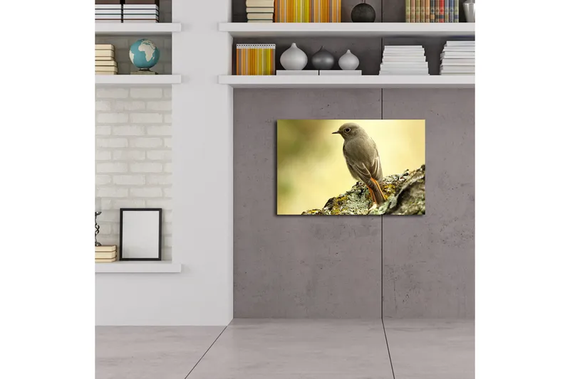 Lerretsbilde med LED-belysning 45x70 cm - Fugl sittende på en stein med myk bakgrunn - Grå / Oransje / Beige - Innredning - Bilder & kunst - Lerretsbilder